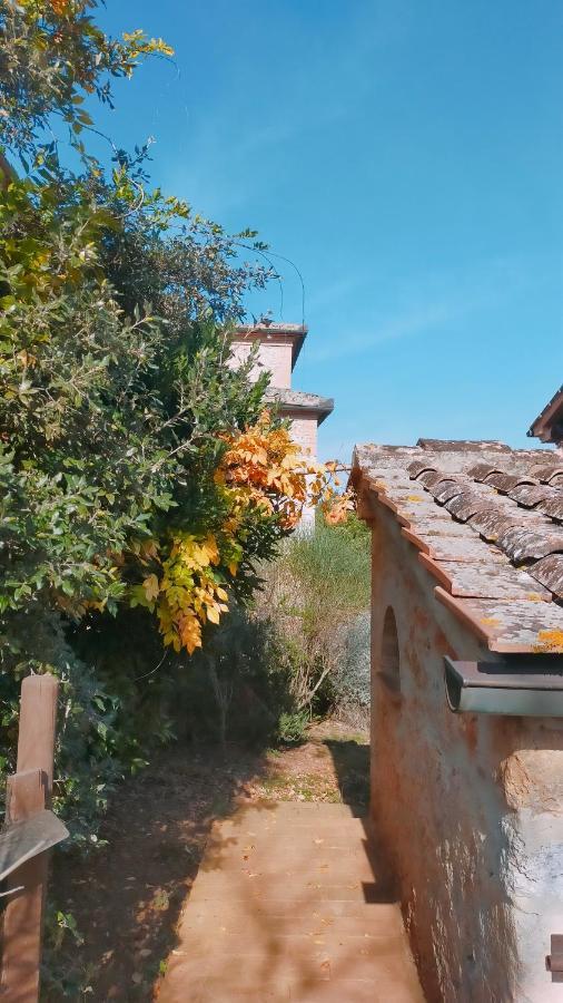 Cosy Country Room Garden Sovicille Εξωτερικό φωτογραφία