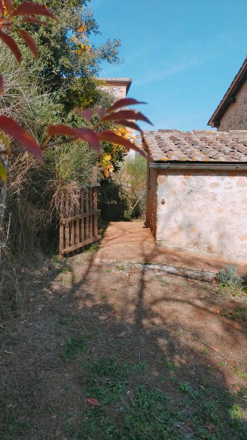 Cosy Country Room Garden Sovicille Εξωτερικό φωτογραφία