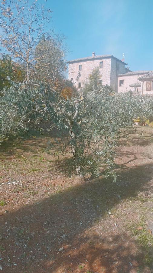 Cosy Country Room Garden Sovicille Εξωτερικό φωτογραφία